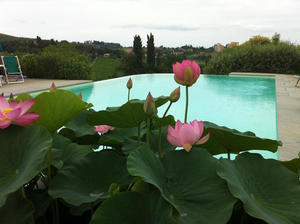 Agriturismo Raccianello San Gimignano Buitenkant foto