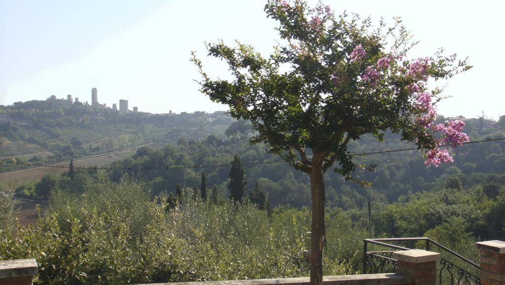 Agriturismo Raccianello San Gimignano Buitenkant foto